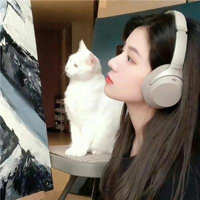 不爱不散